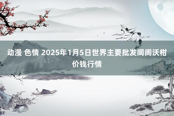 动漫 色情 2025年1月5日世界主要批发阛阓沃柑价钱行情