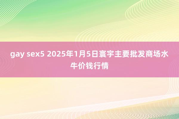 gay sex5 2025年1月5日寰宇主要批发商场水牛价钱行情