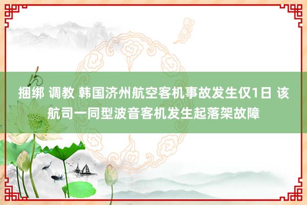 捆绑 调教 韩国济州航空客机事故发生仅1日 该航司一同型波音客机发生起落架故障