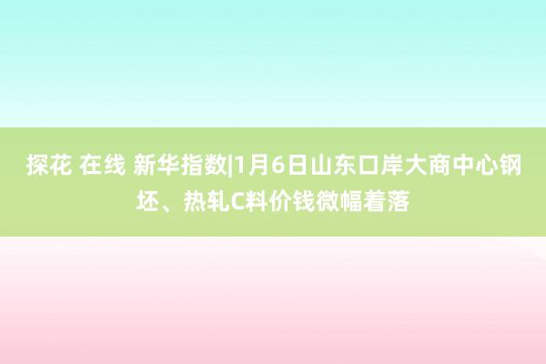 探花 在线 新华指数|1月6日山东口岸大商中心钢坯、热轧C料价钱微幅着落