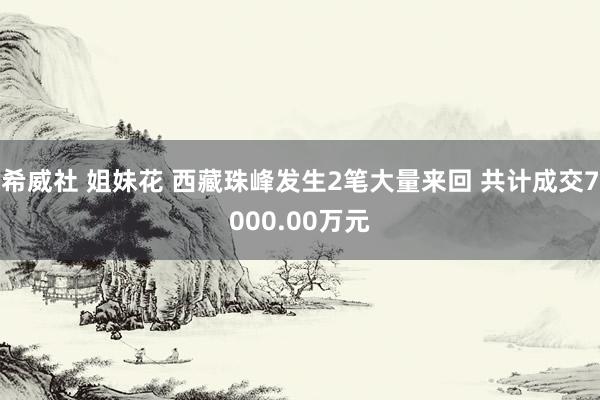 希威社 姐妹花 西藏珠峰发生2笔大量来回 共计成交7000.00万元