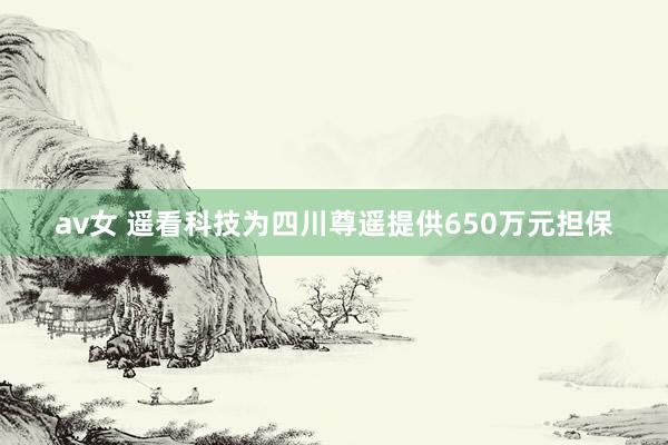 av女 遥看科技为四川尊遥提供650万元担保