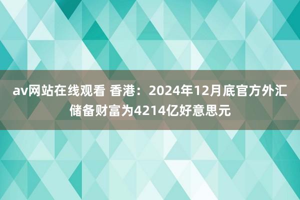 av网站在线观看 香港：2024年12月底官方外汇储备财富为4214亿好意思元