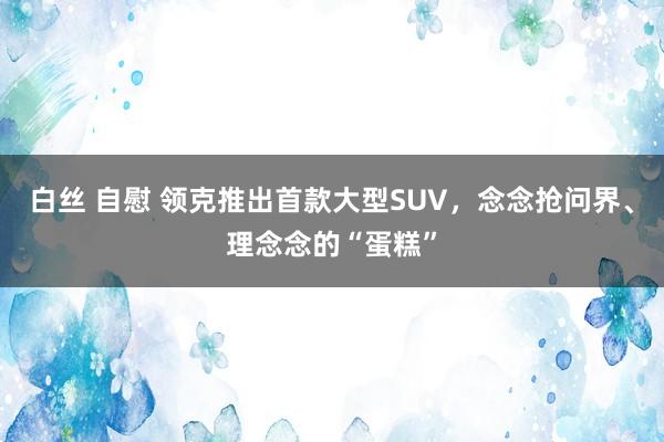 白丝 自慰 领克推出首款大型SUV，念念抢问界、理念念的“蛋糕”