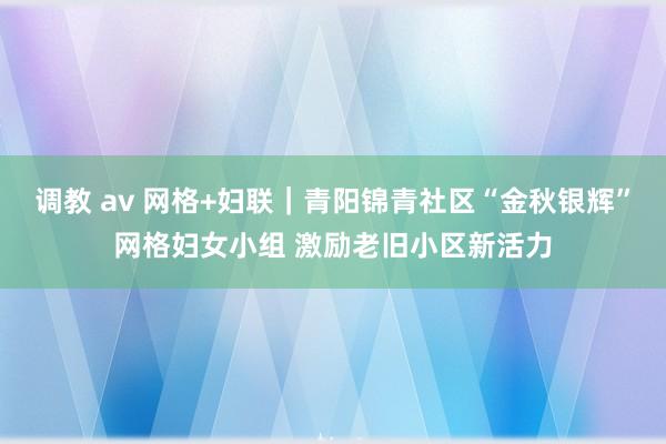 调教 av 网格+妇联｜青阳锦青社区“金秋银辉”网格妇女小组 激励老旧小区新活力