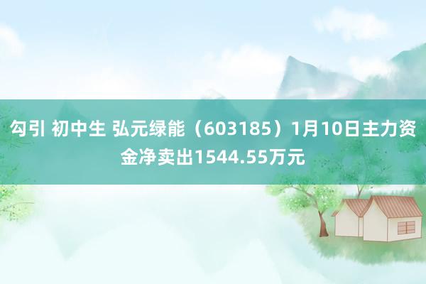 勾引 初中生 弘元绿能（603185）1月10日主力资金净卖出1544.55万元