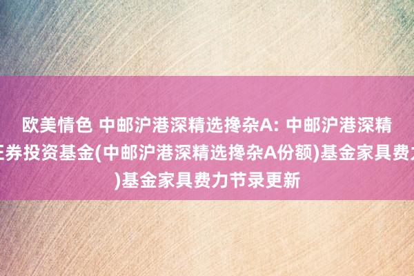 欧美情色 中邮沪港深精选搀杂A: 中邮沪港深精选搀杂型证券投资基金(中邮沪港深精选搀杂A份额)基金家具费力节录更新