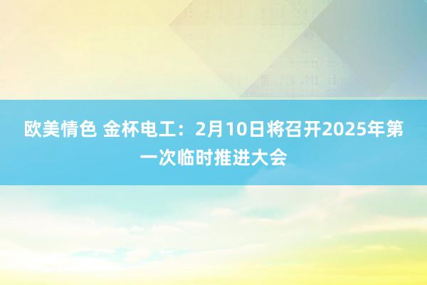 欧美情色 金杯电工：2月10日将召开2025年第一次临时推进大会